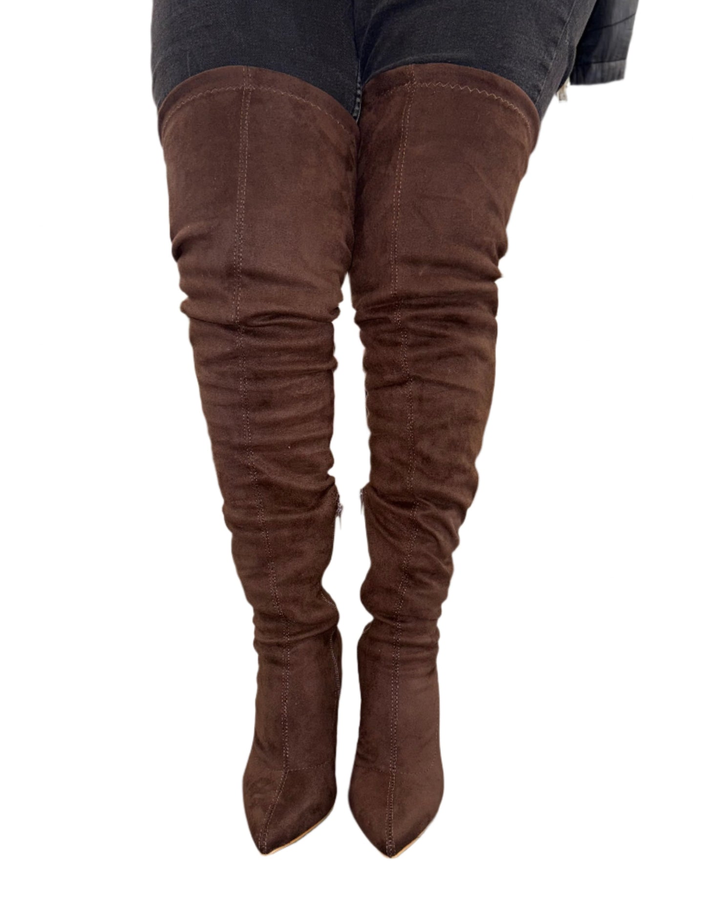 POINTED TOE KNEE HIGH SUEDE BOOT WILSON